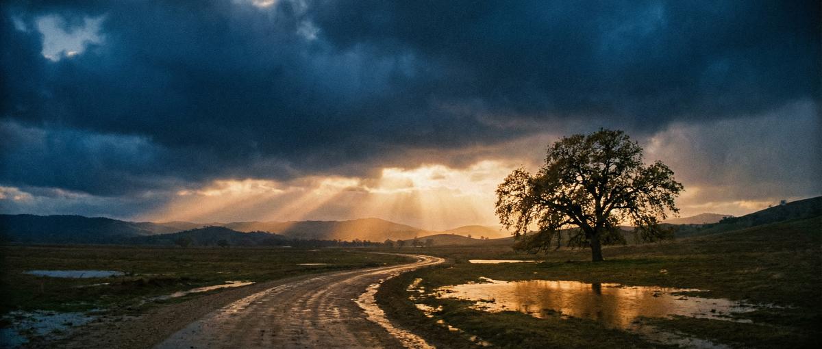 四虎视频影视幕后视频